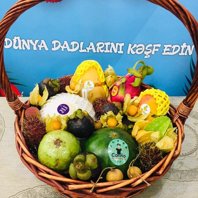 ekzobutik_50930671_2369004329998963_7741545754035673717_n